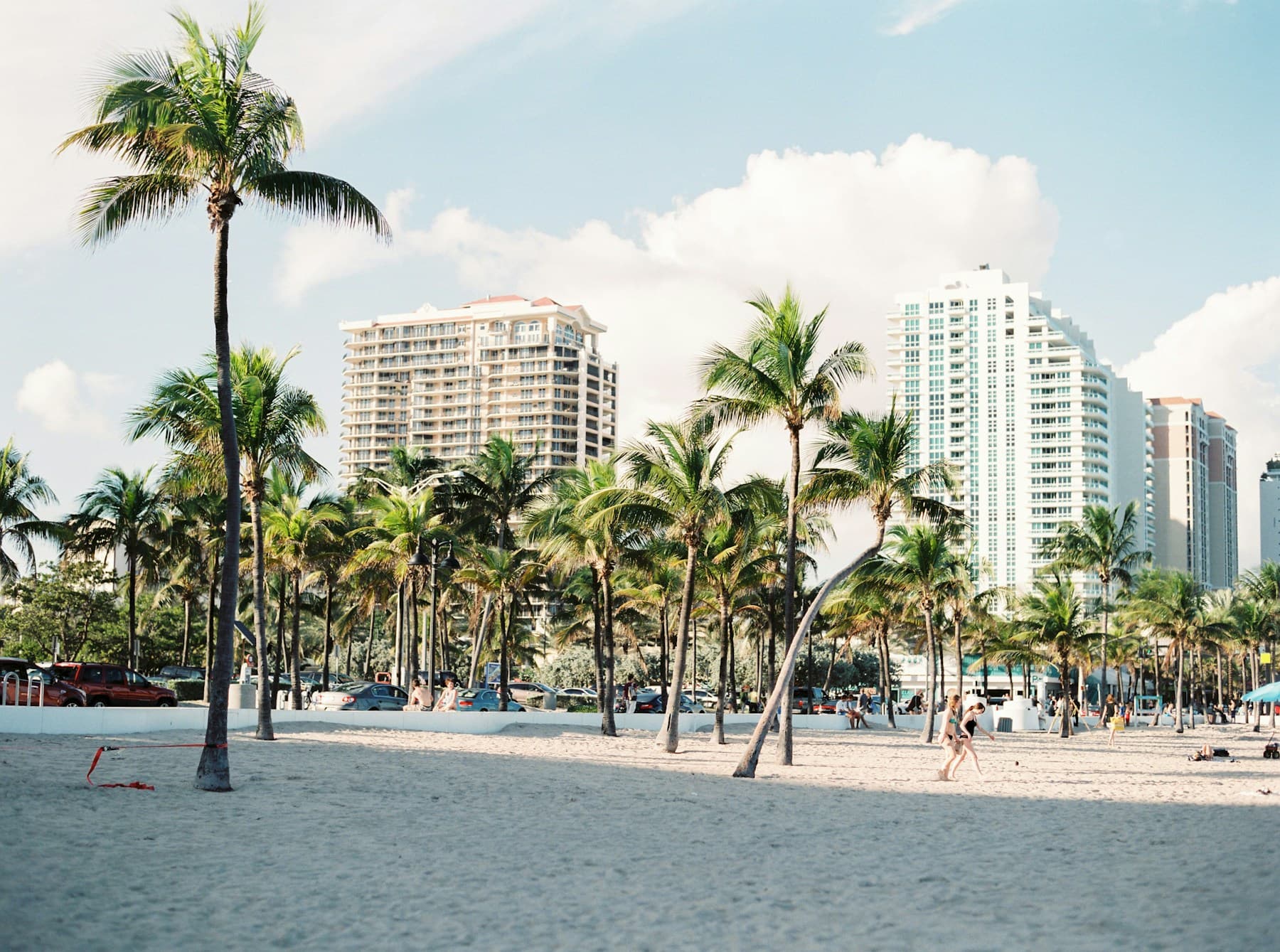 Palm trees along a Florida beach with city buildings behind